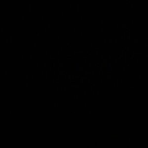 Meet your Posher, Eden